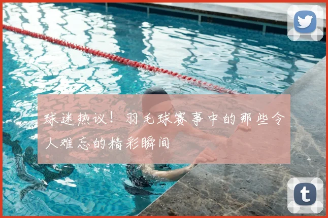 球迷热议！羽毛球赛事中的那些令人难忘的精彩瞬间