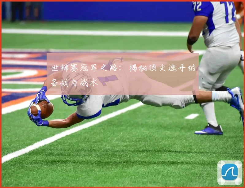 世锦赛冠军之路：揭秘顶尖选手的备战与战术